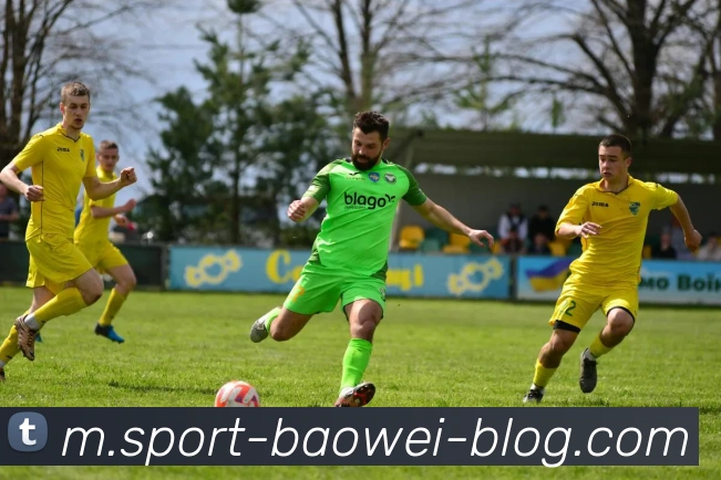 宝威体育APP 封面图