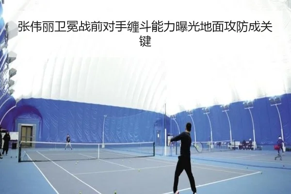 张伟丽卫冕战前对手缠斗能力曝光地面攻防成关键